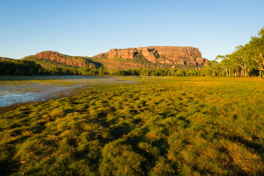 Anbangbang Billabong